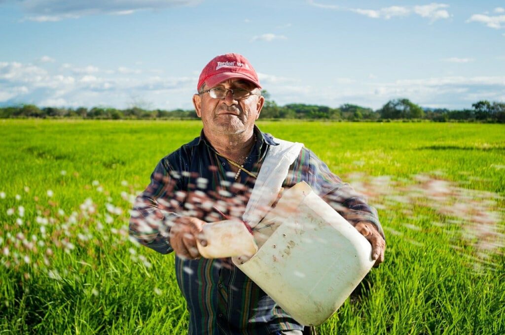 Nota Fiscal de Agricultura Familiar