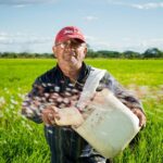 Nota Fiscal de Agricultura Familiar